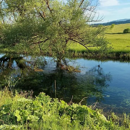 Sturba Spring